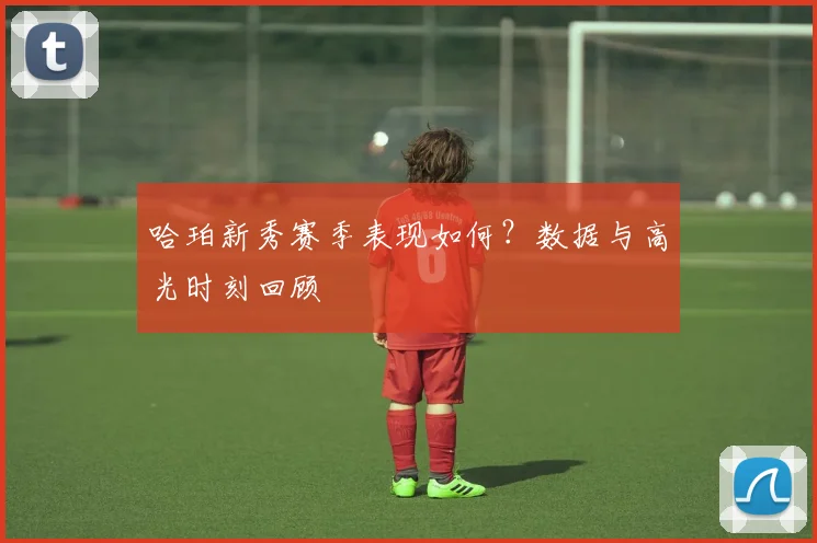 哈珀新秀赛季表现如何？数据与高光时刻回顾