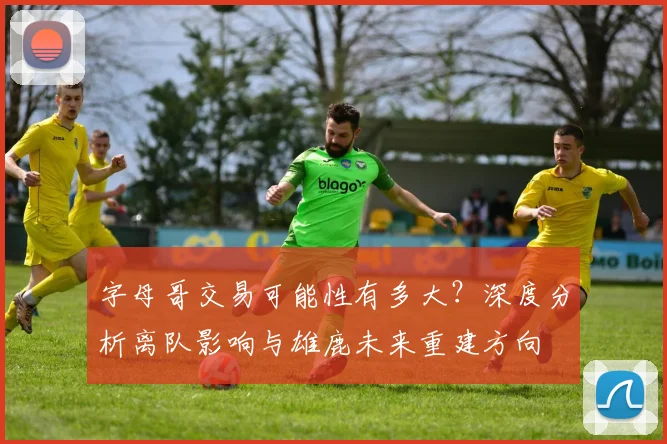 字母哥交易可能性有多大？深度分析离队影响与雄鹿未来重建方向