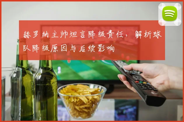 赫罗纳主帅坦言降级责任,解析球队降级原因与后续影响